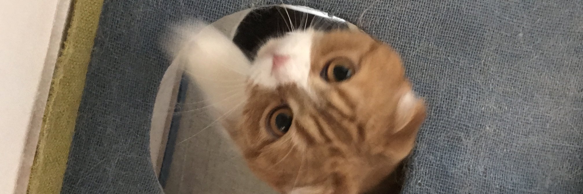 ottie27's profile banner image
