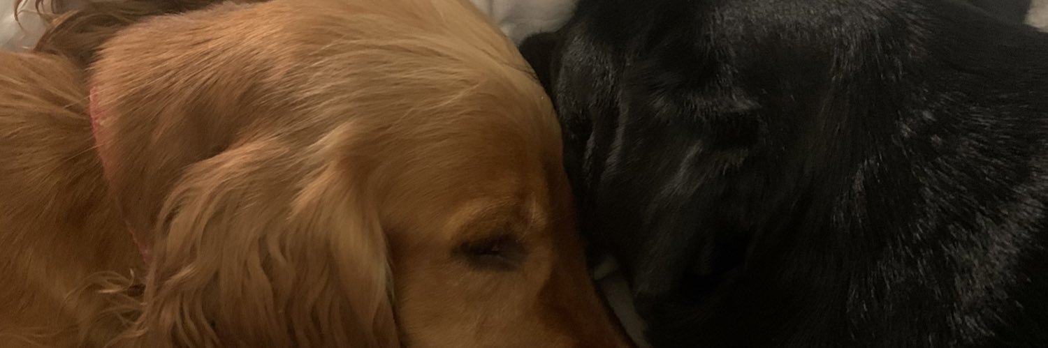 PhilippaLeonar1's profile banner image