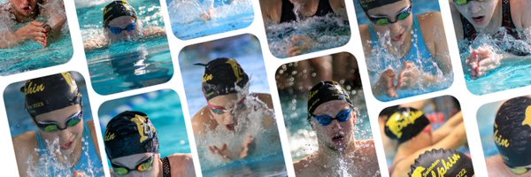 SwindonDolphin Profile Banner