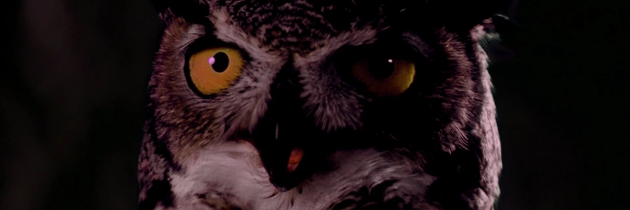 b banner