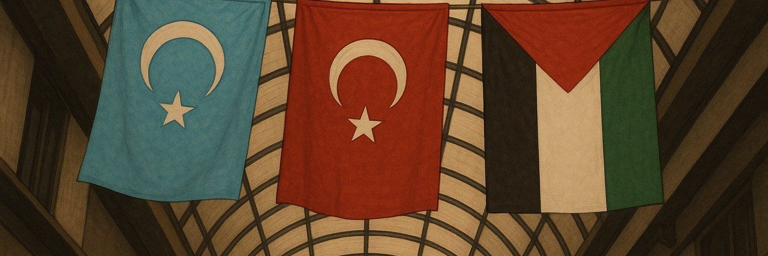 Mercan3486's profile banner image