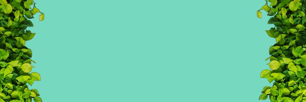 SyrupBlossom's profile banner image
