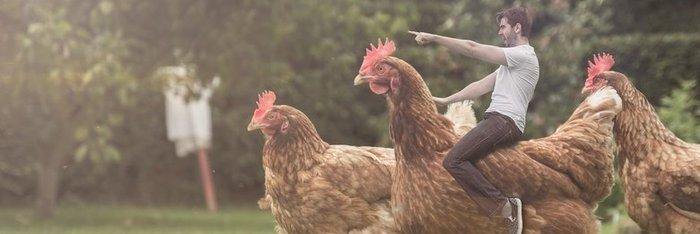 Tom_Thecock's profile banner image