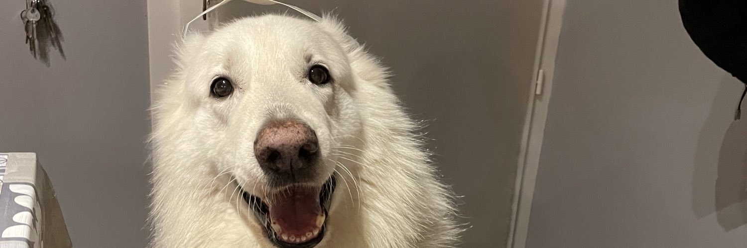 Bapt 💜💛 banner