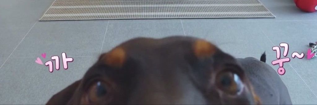 rbstephi's profile banner image