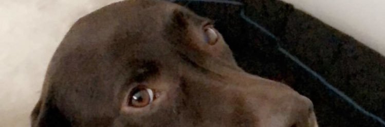 J_Longson's profile banner image