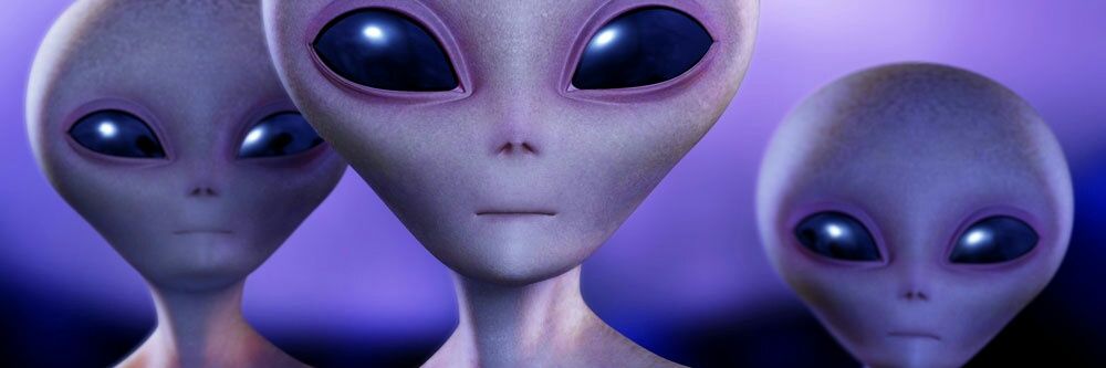 BabeInABunker's profile banner image