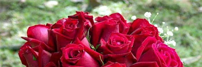 mohammad94288's profile banner image