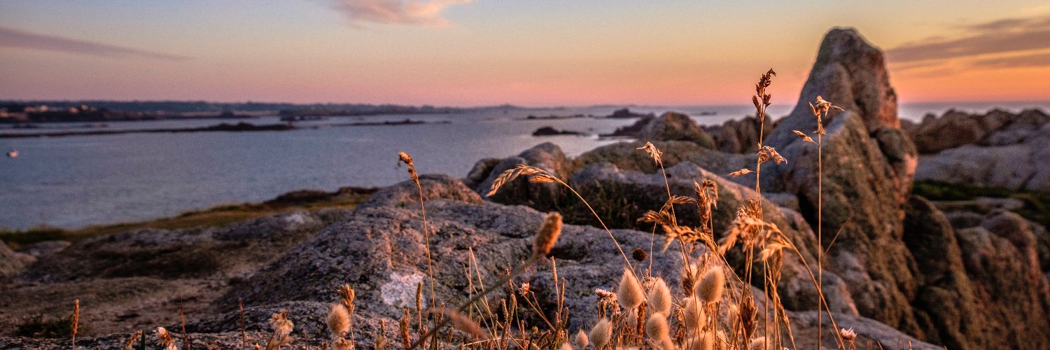 NicLePoidevin's profile banner image