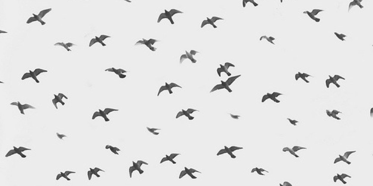 vaaalla's profile banner image