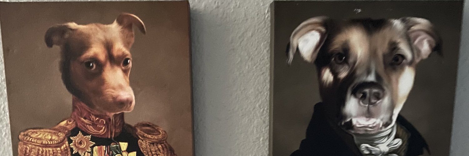 mountaindrew300's profile banner image
