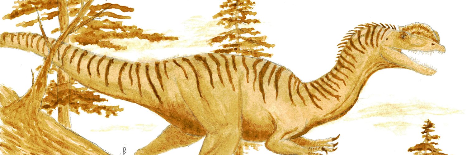 John K. Patterson banner