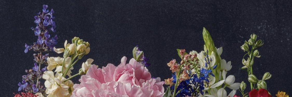 rrrere's profile banner image