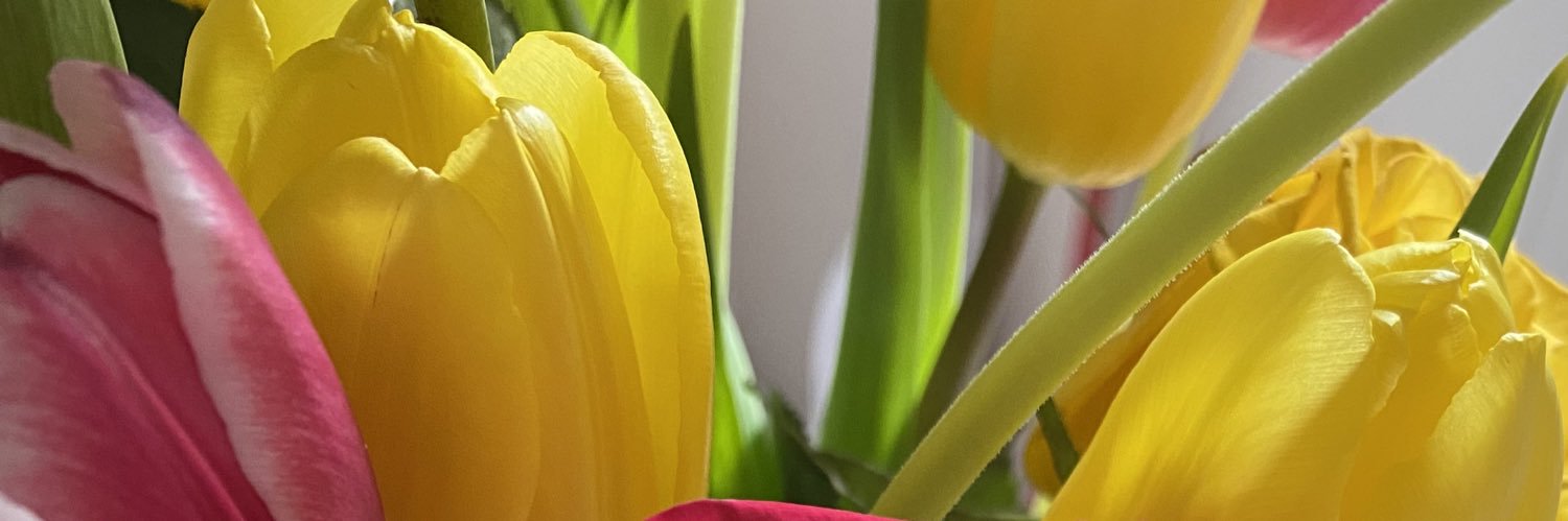 Karen Chamberlain banner