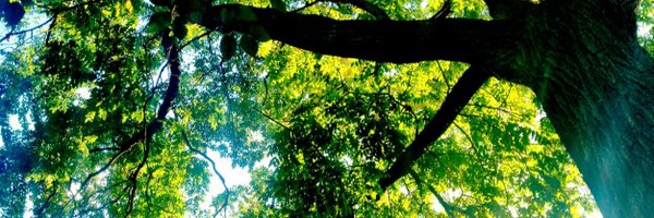 em_mungan Profile Banner