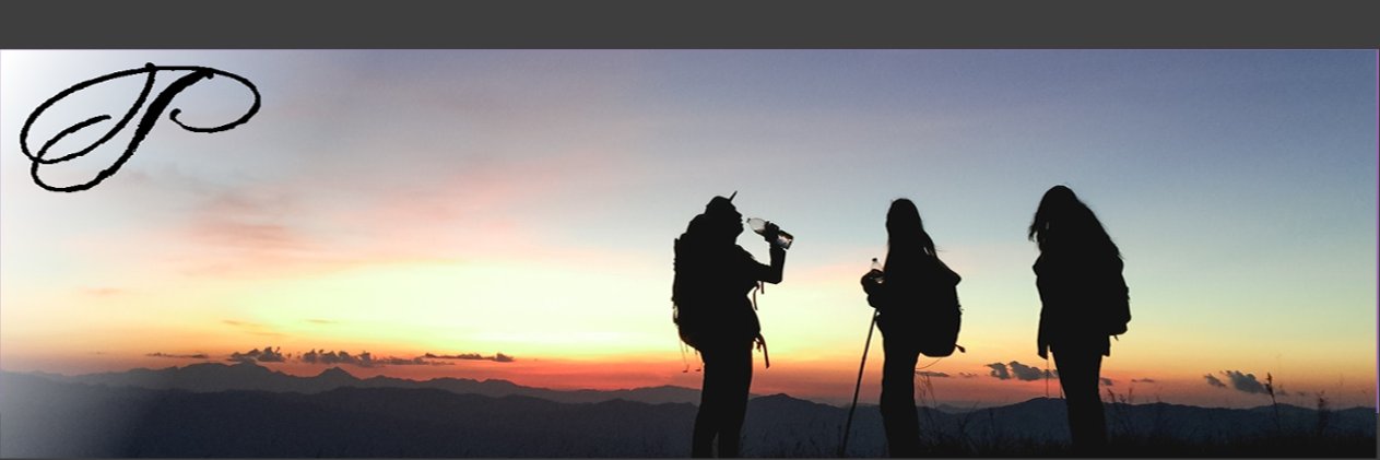 DanielleTPGadv's profile banner image