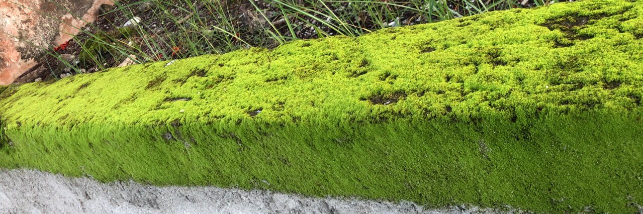 Dr.Ibrahim Didi banner