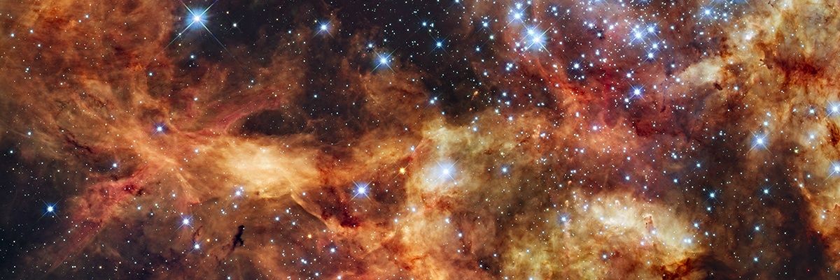 wildfire0930's profile banner image