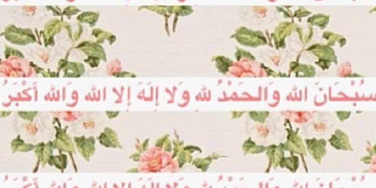 mshail0's profile banner image