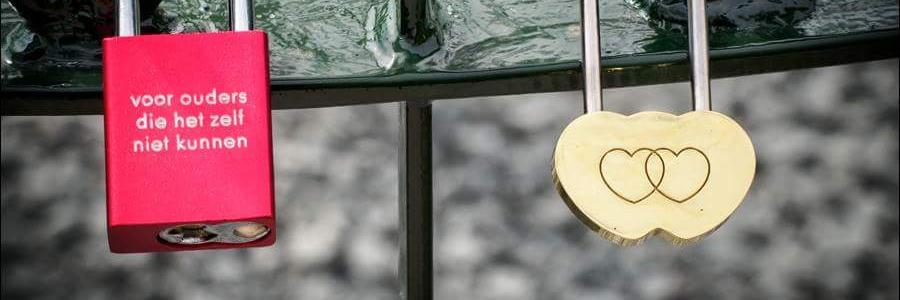annevanmil banner