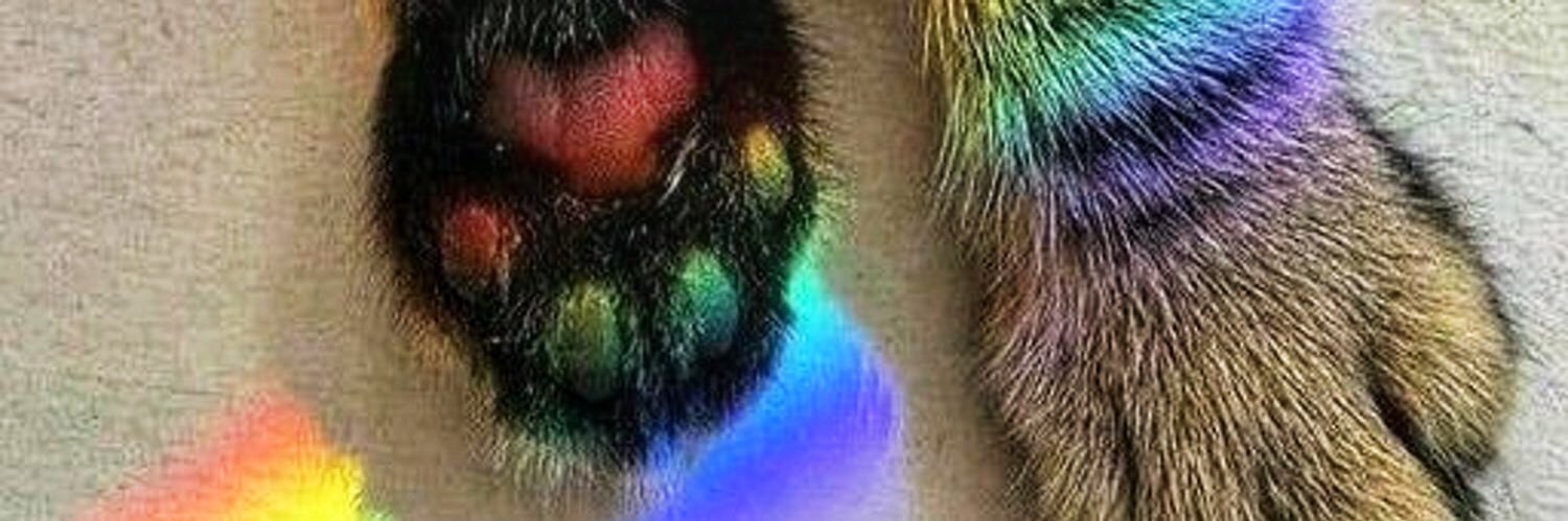 mahaivanova's profile banner image