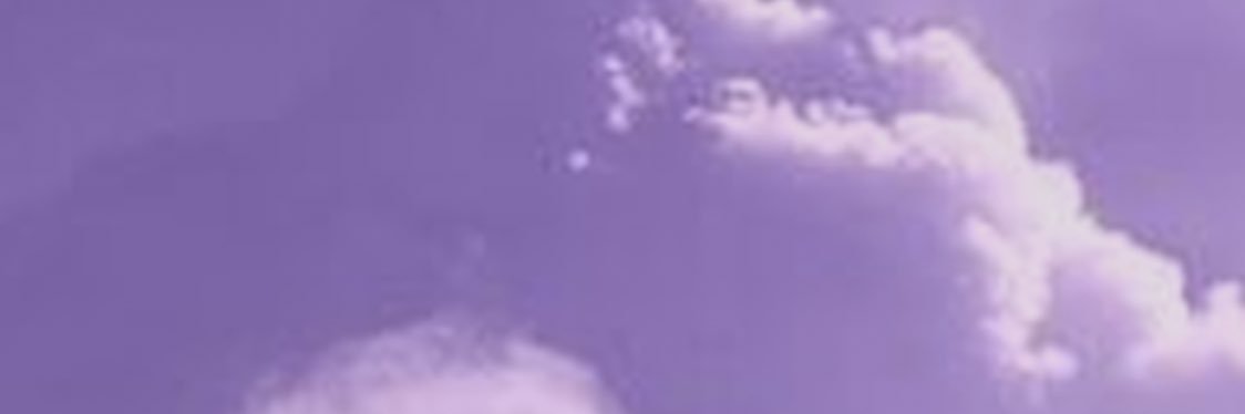 palumbo_sofia's profile banner image