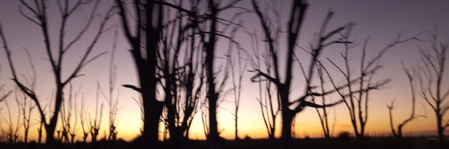 Gabriela Diez banner