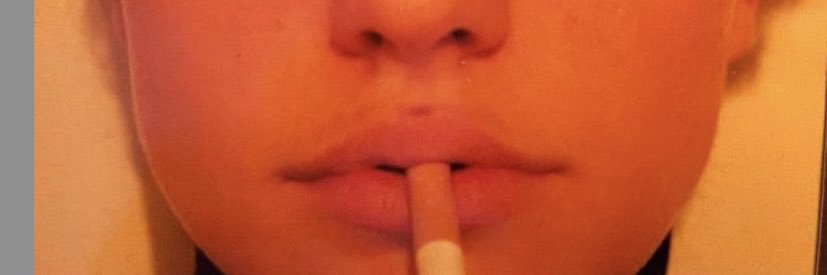 danicauscocovic's profile banner image
