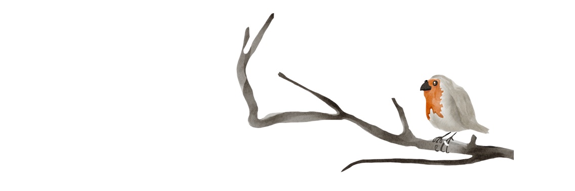 dnkrhmr's profile banner image