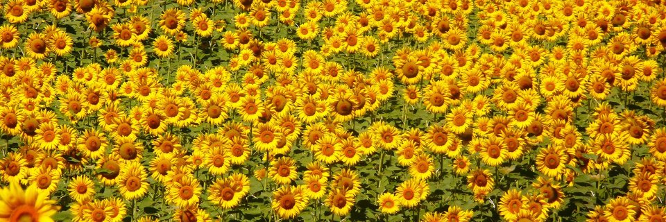breezyandco's profile banner image