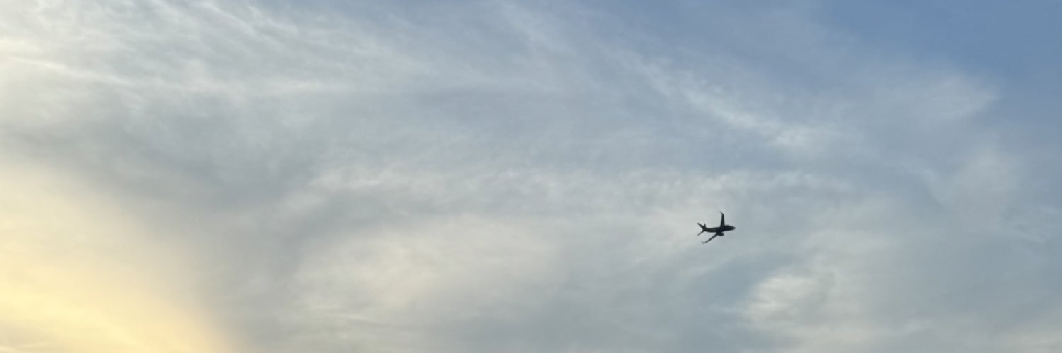_arevee's profile banner image