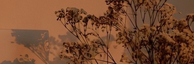 Koutureeee's profile banner image