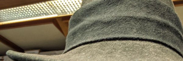 DoreneFC Profile Banner