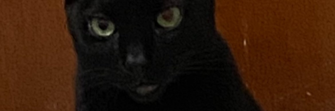 linaldo_1's profile banner image