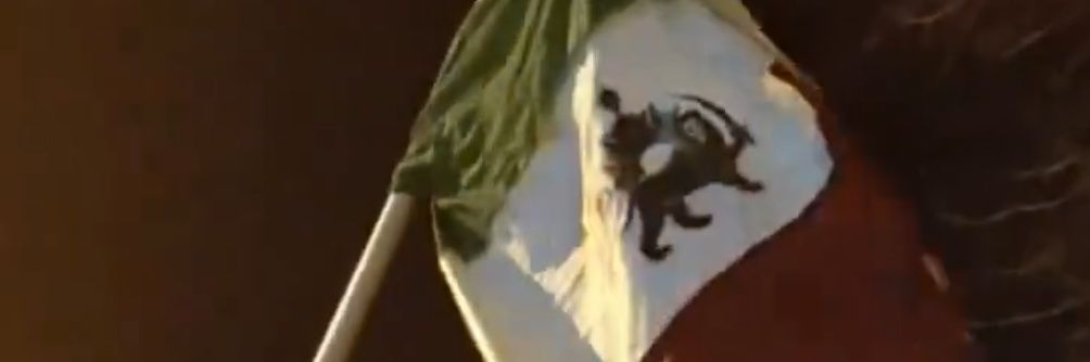 Ali Zapata banner