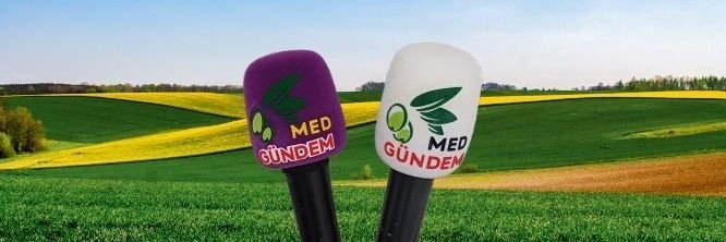 MedGundem1's profile banner image