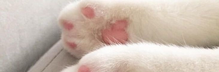 ☁︎ lydiaaa ☁︎ banner