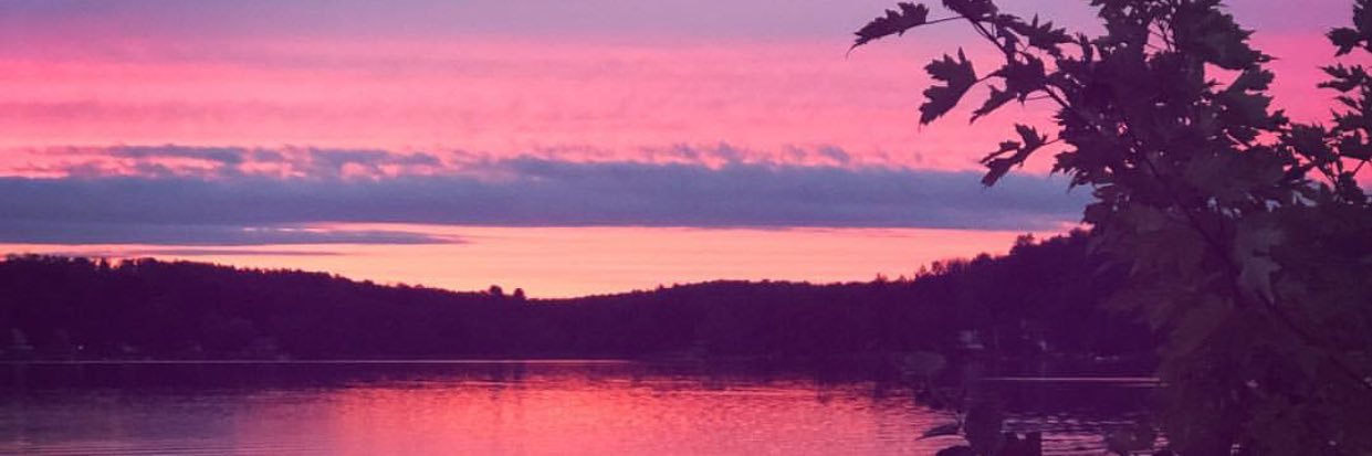 • riss • banner