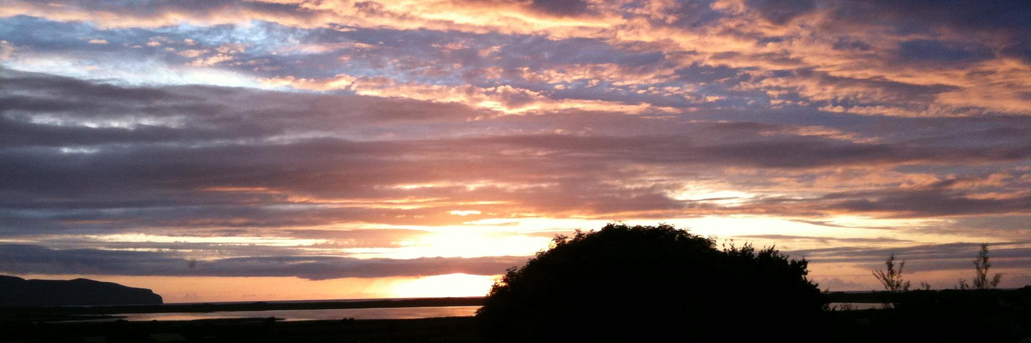 Victoria MorganSmith banner