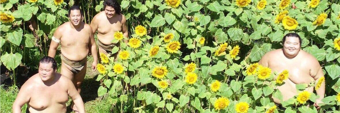 Sondre Langas fan banner