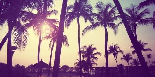 _dawsons_'s profile banner image
