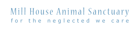 MillHouseSheff's profile banner image