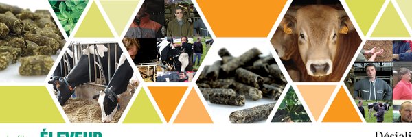 desialis Profile Banner