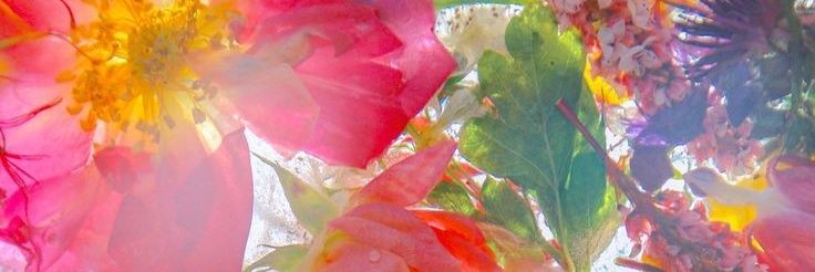 Arlettevmiron's profile banner image