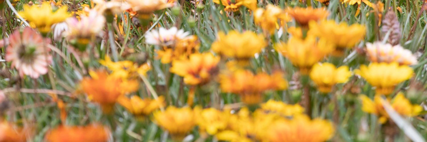 DrBurkleton's profile banner image