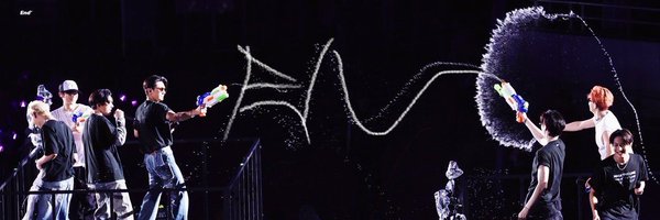 lheesoftie Profile Banner
