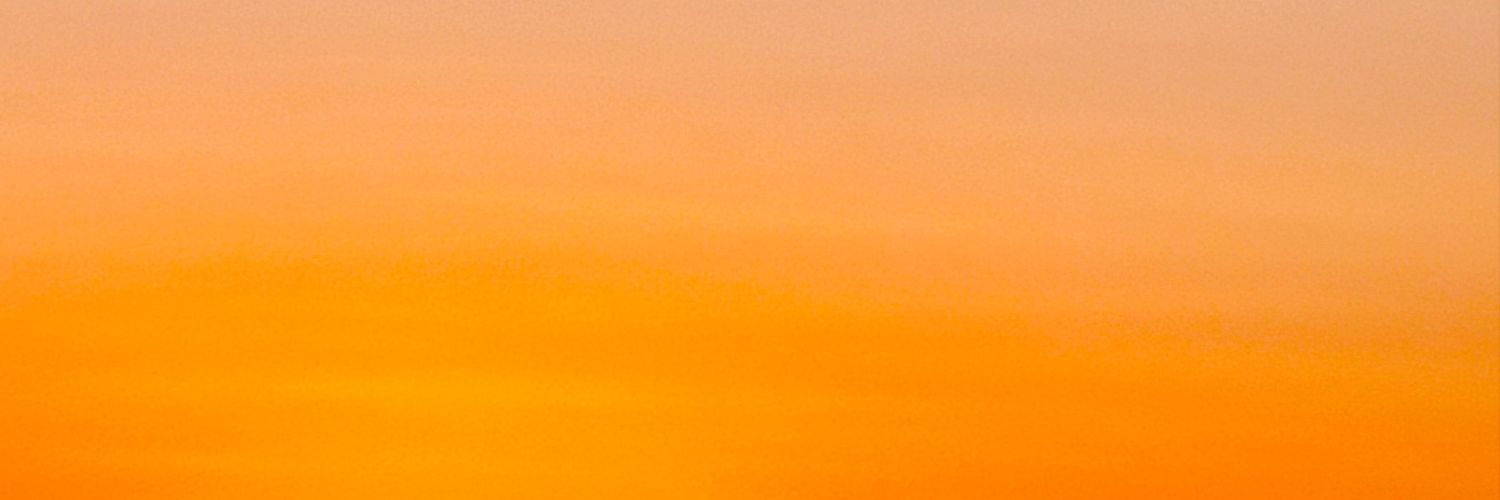 barbara_left's profile banner image