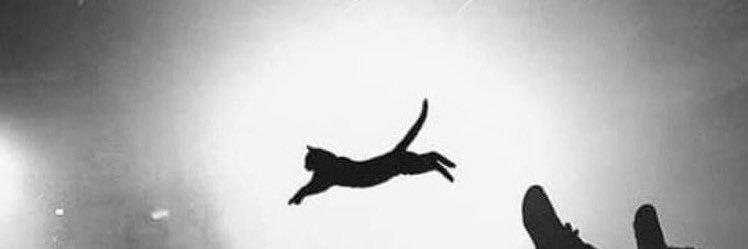 010010011_'s profile banner image