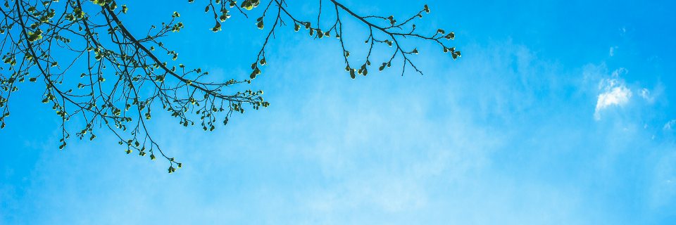 etallang's profile banner image