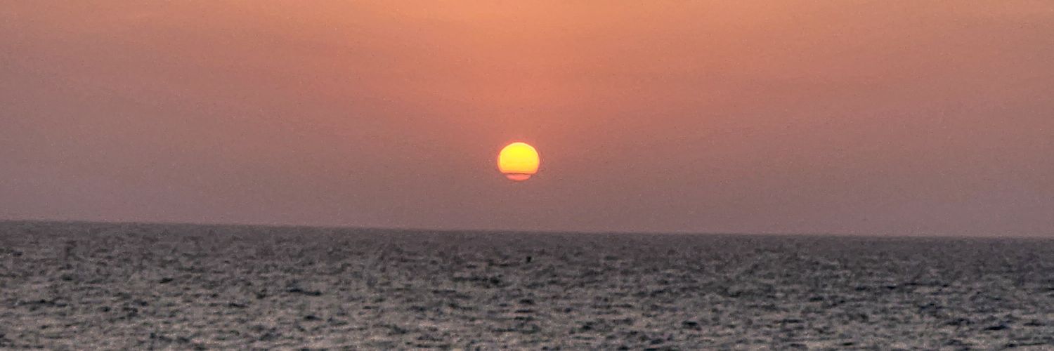 amfp99's profile banner image